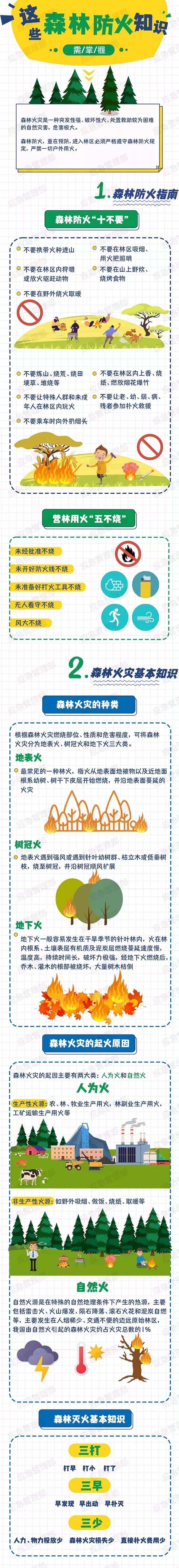 天干物燥，这些森林防火知识要掌握----中华人民共和国应急管理部.jpg