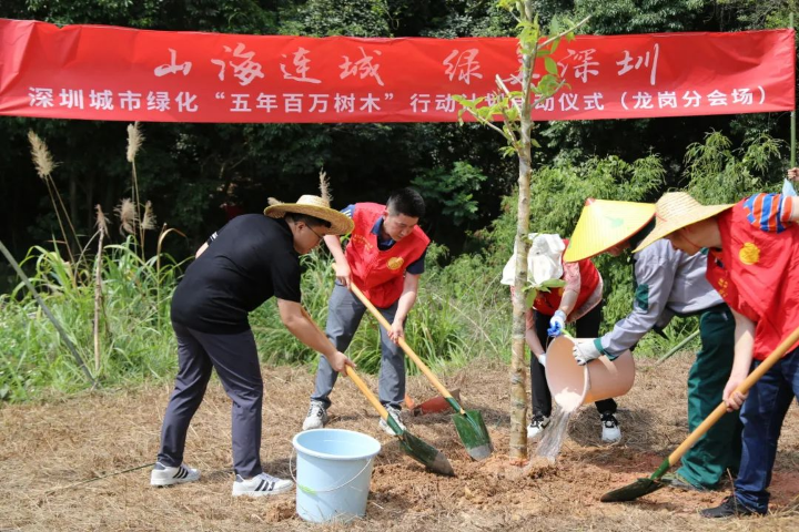 龙岗区开展深圳城市绿化“五年百万树木”行动计划植树活动.jpg
