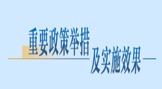 重要政策举措及实施效果