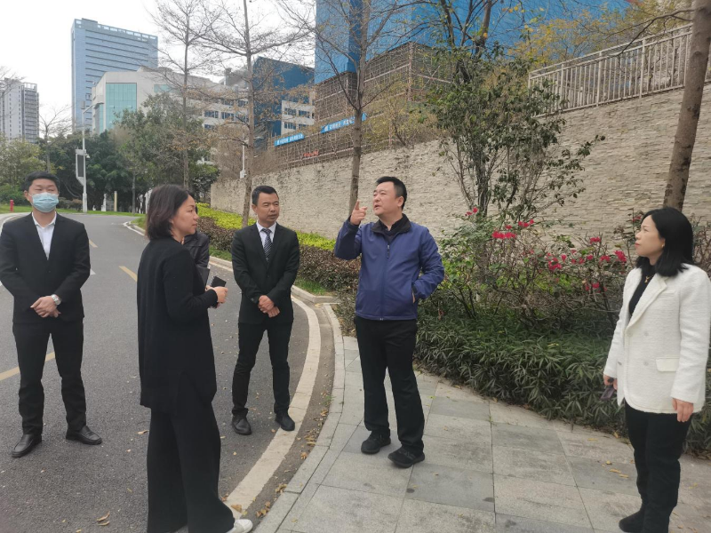 已编辑图片