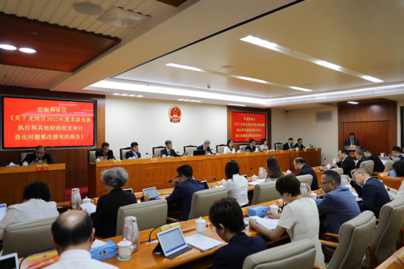 区人大常委会审议整改工作报告.jpg