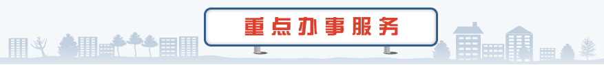重点办事服务
