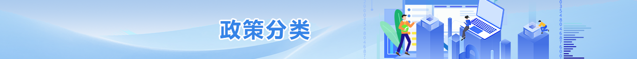 政策分类