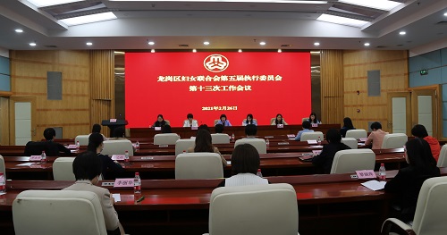 龙岗区妇联在五届十三次执委会上部署社区妇联换届工作.jpg