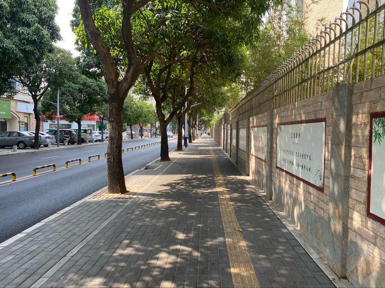 我为群众办实事｜怡锦社区“三治”促环境品质提升“破茧成蝶”11.jpg