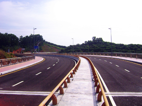 中环大道.jpg