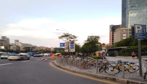 1.布龙路修剪遮挡交通标志树木2.png