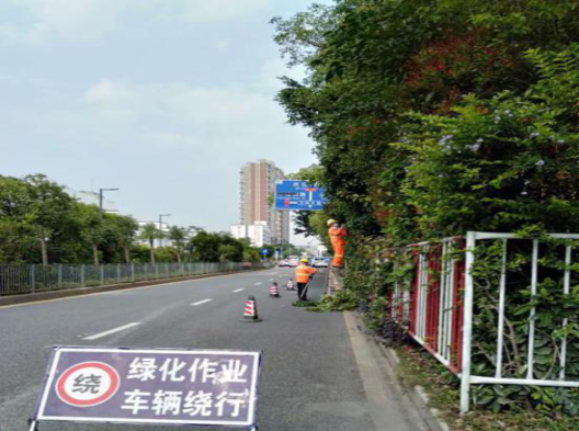 3.雅园路修剪遮挡交通指示牌1.png
