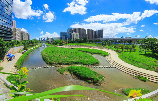 秀美龙岗.png