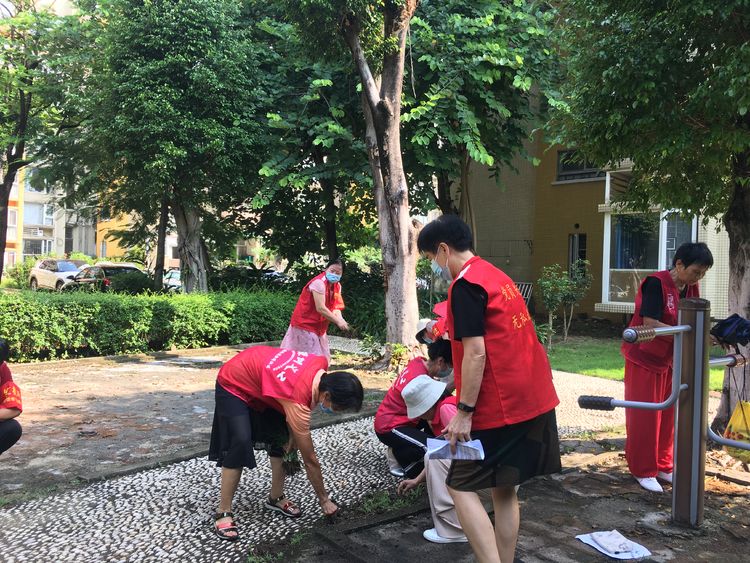 文明创建｜志愿者当“蝶变”观察员，环境纠察添文明色彩6.jpg