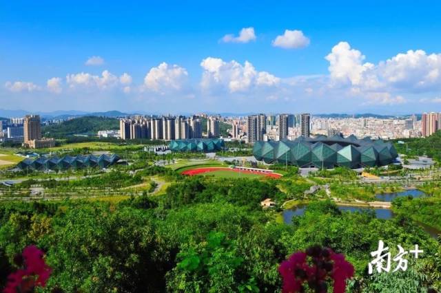     通讯员/受访者 对方提供 供图