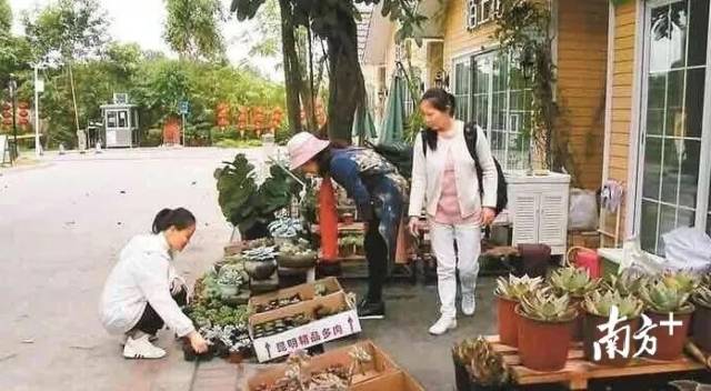     通讯员/受访者 对方提供 供图