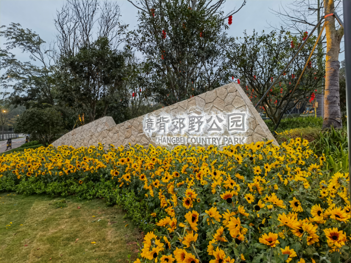 微信图片_20220128142900.png