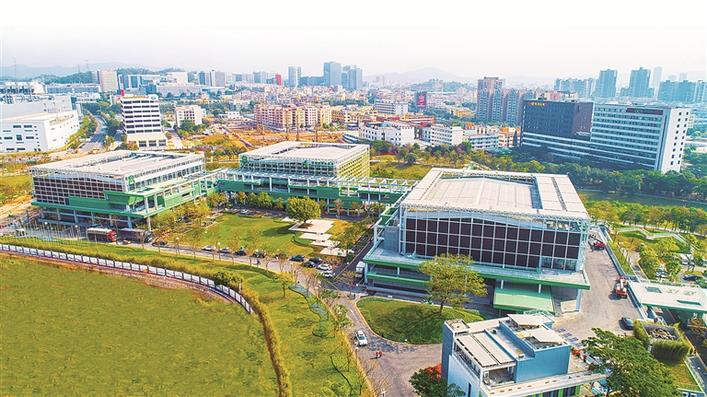 龙岗.jpg