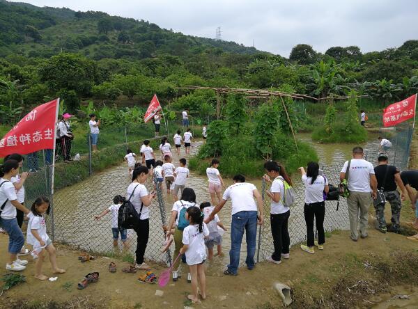 池塘捉鱼