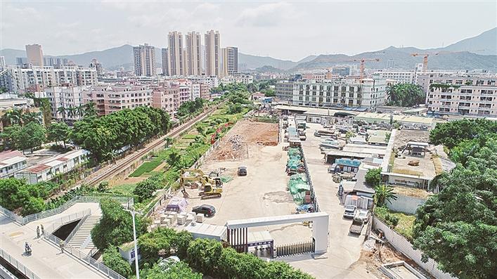 龙安.jpg