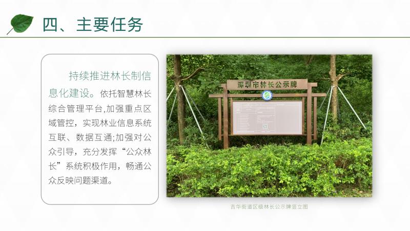 图片13.jpg