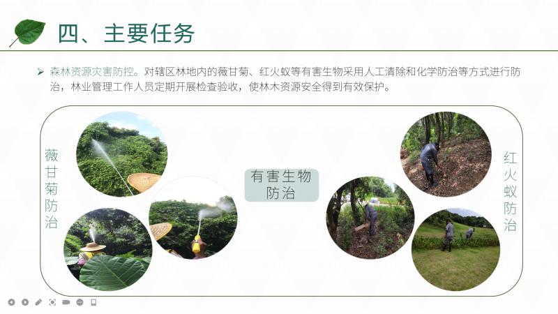 图片10.jpg