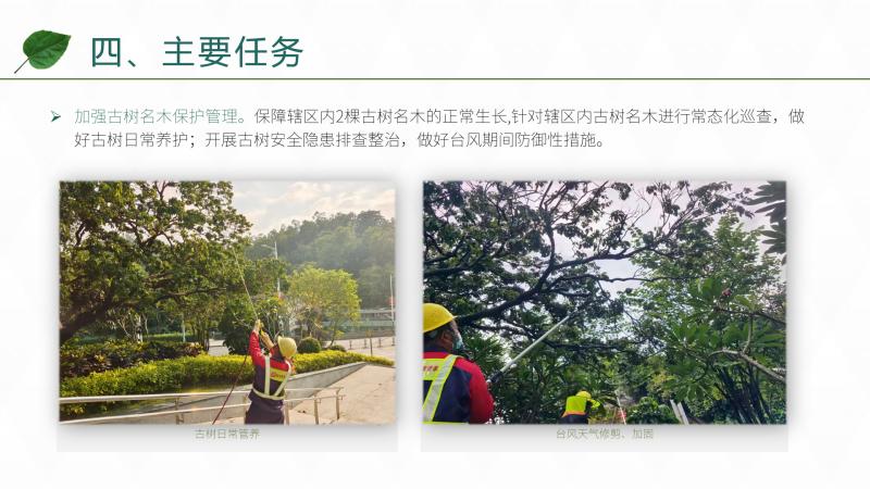 图片9.jpg