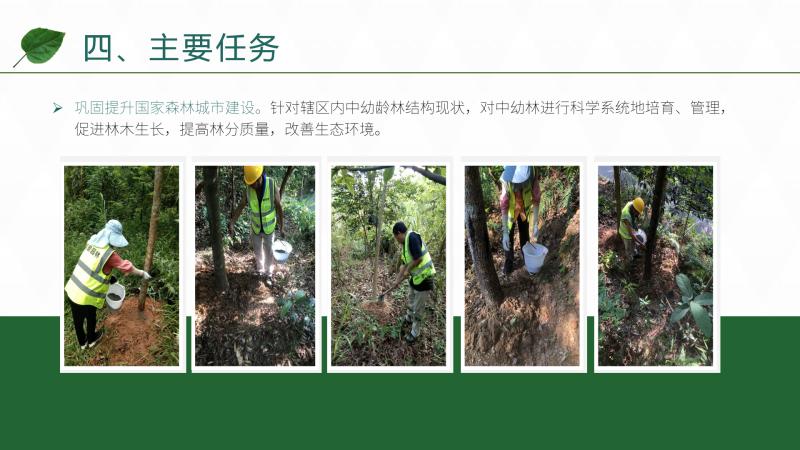 图片8.jpg
