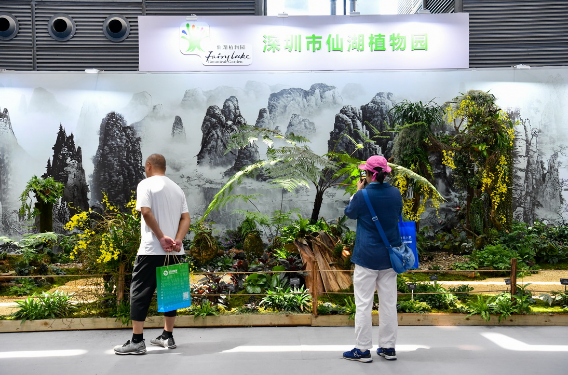 已编辑图片