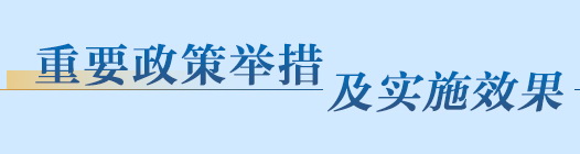 重要政策举措及实施效果