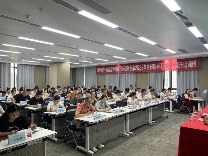 20230828深圳市人才流动中心有限公司以人才培训推动靖西乡村全面振兴-图片.png