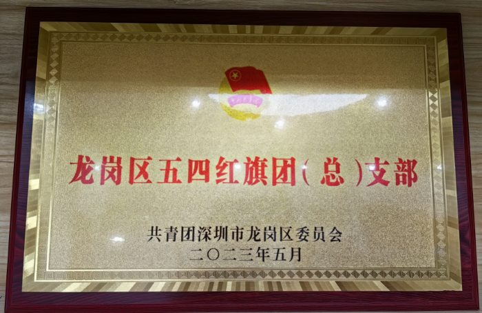 龙岗区五四红旗团支部.jpg