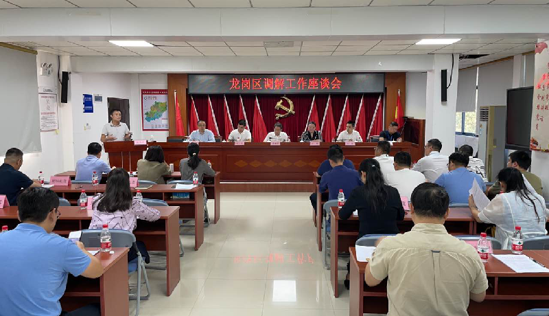 “全国模范人民调解员”刘精彩在座谈会上分享经验.png