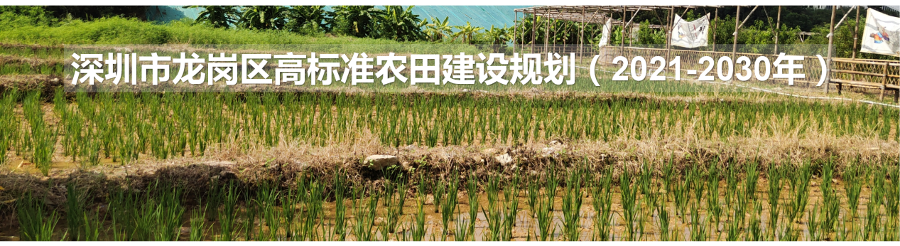 龙岗区高标准农田建设规划（2021-2030年）
