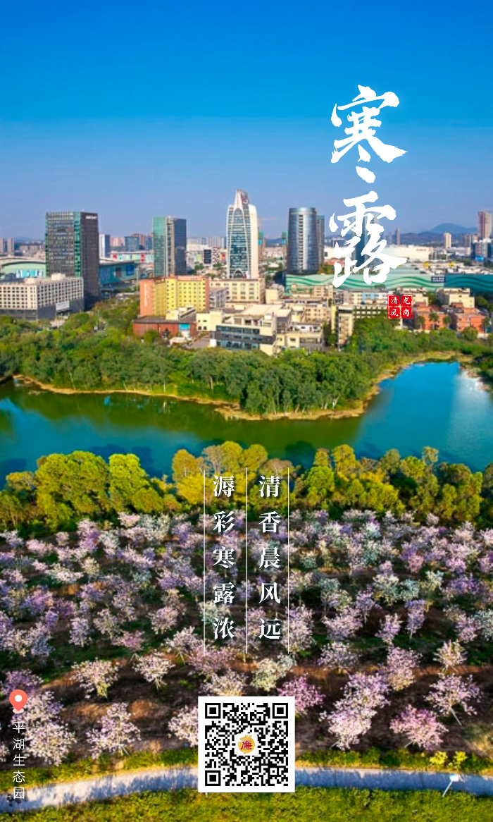 寒露1.jpg