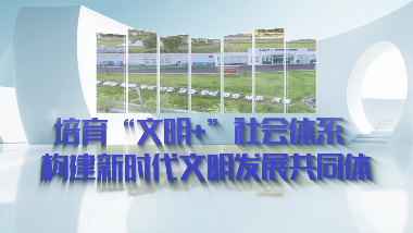 横岗街道关于培育“文明+”社会体系构建新时代文明发展共同体的政策解读