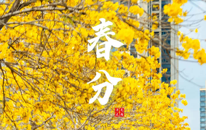 春分 | 清风润万物 春色正中分