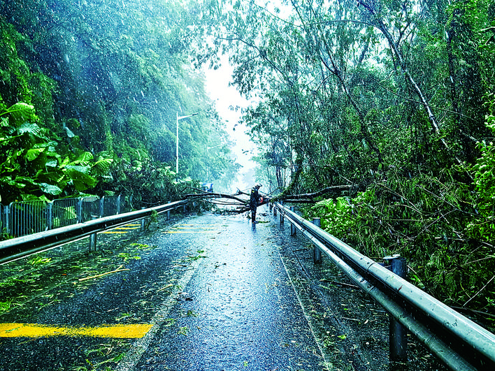 台风.jpg