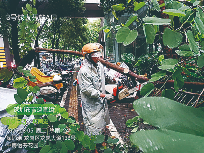 已编辑图片