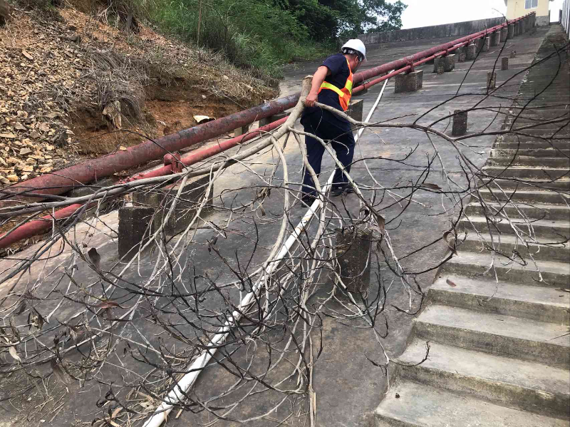 3.清理水库周边枯枝.jpg