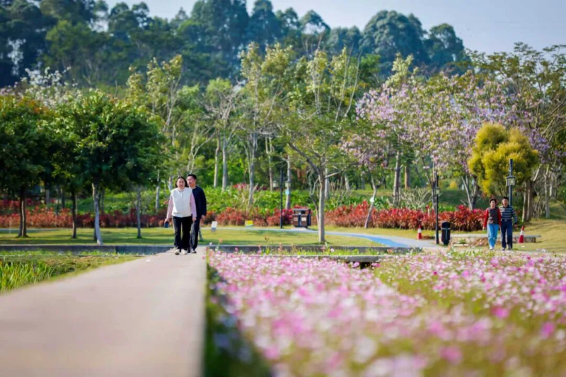 4.梧桐山河（试点段）碧道。龙岗融媒记者 李凯 摄.png