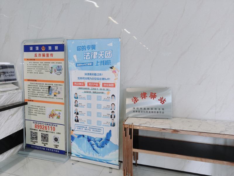 龙岗区青年人才法律顾问团队.jpg