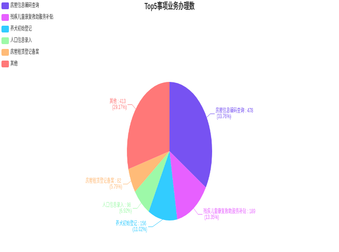 Top5事项业务办理数.png