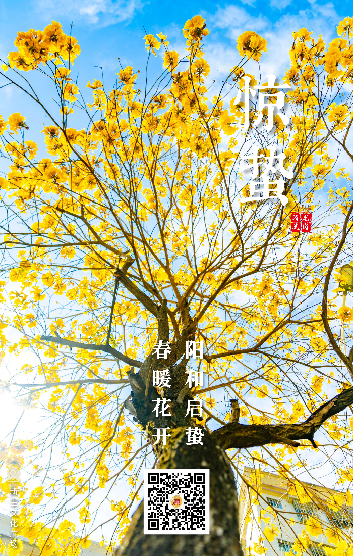 惊蛰(1).jpg