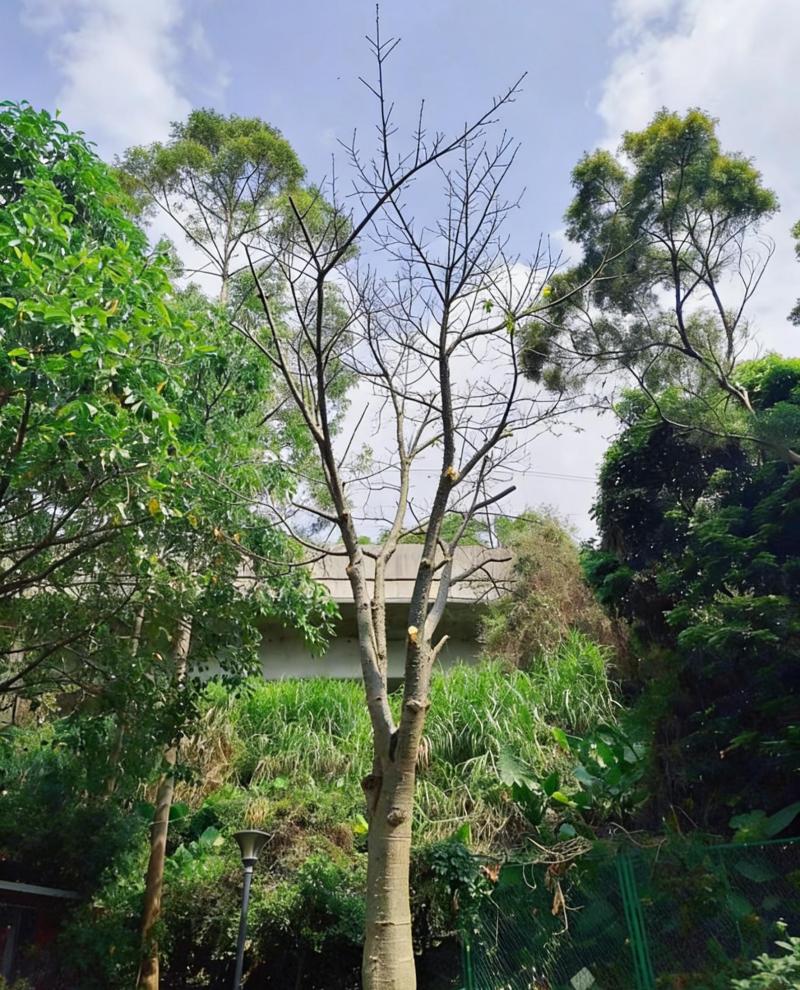 图片6.jpg