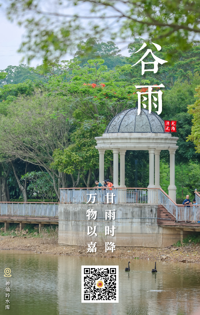 谷雨.jpg