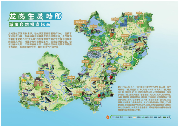 地图.png