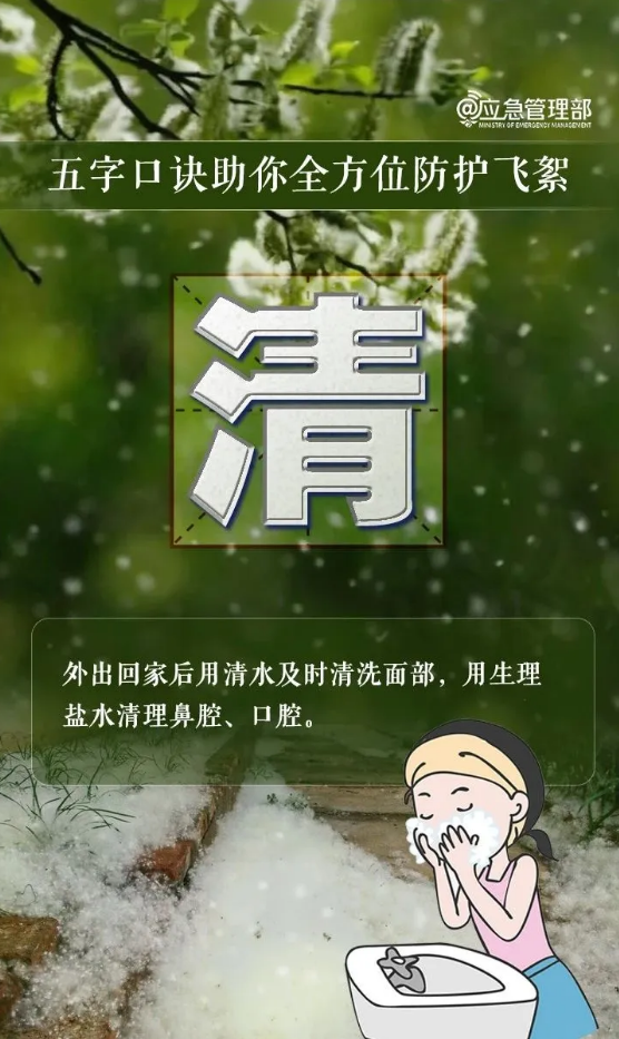 s5.png