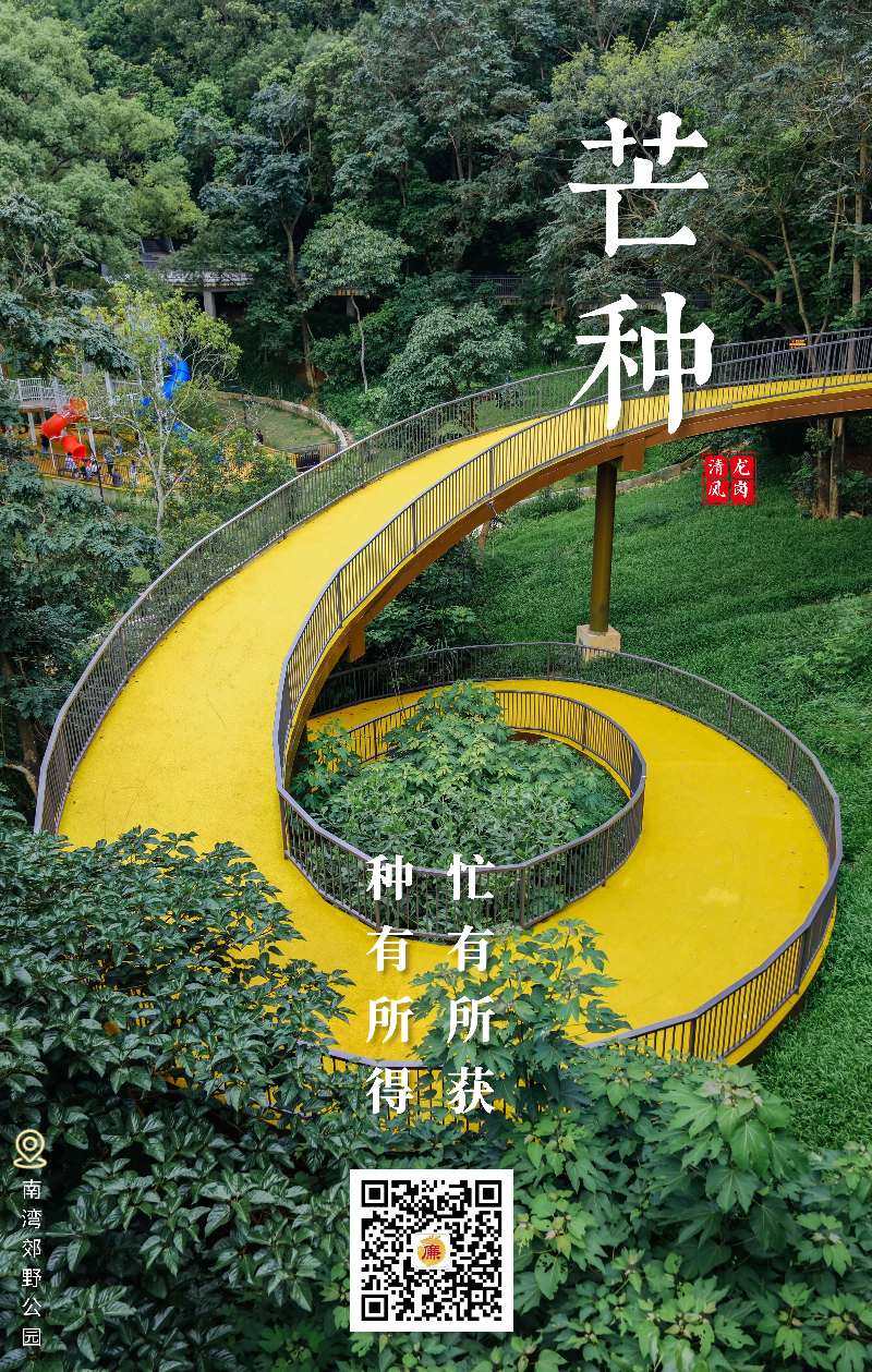 芒种.jpg