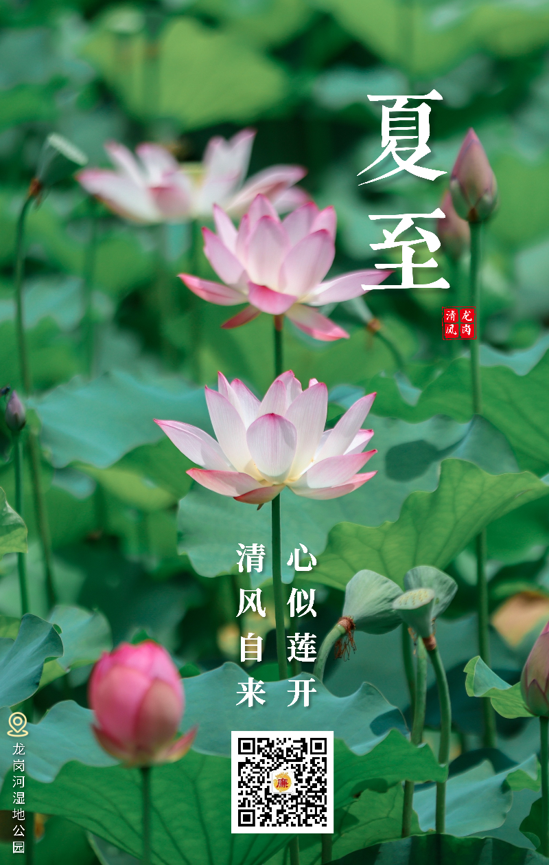 夏至.jpg