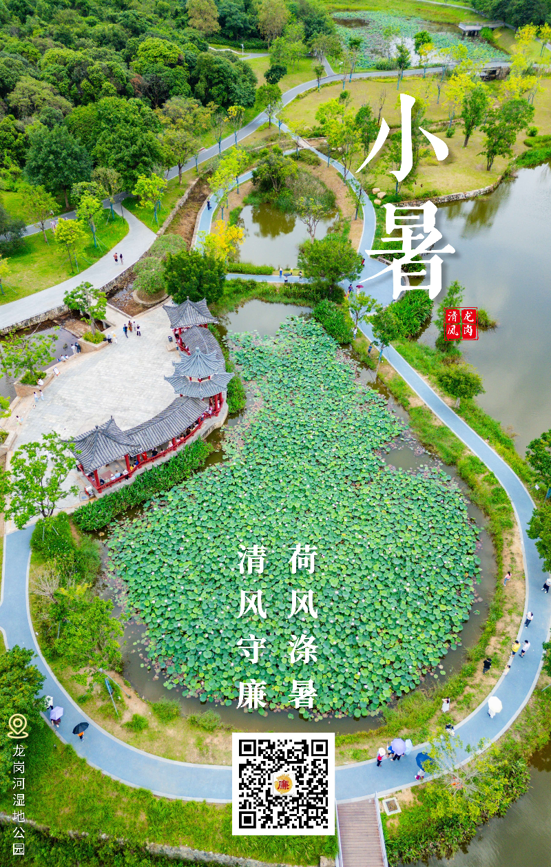 小暑.jpg