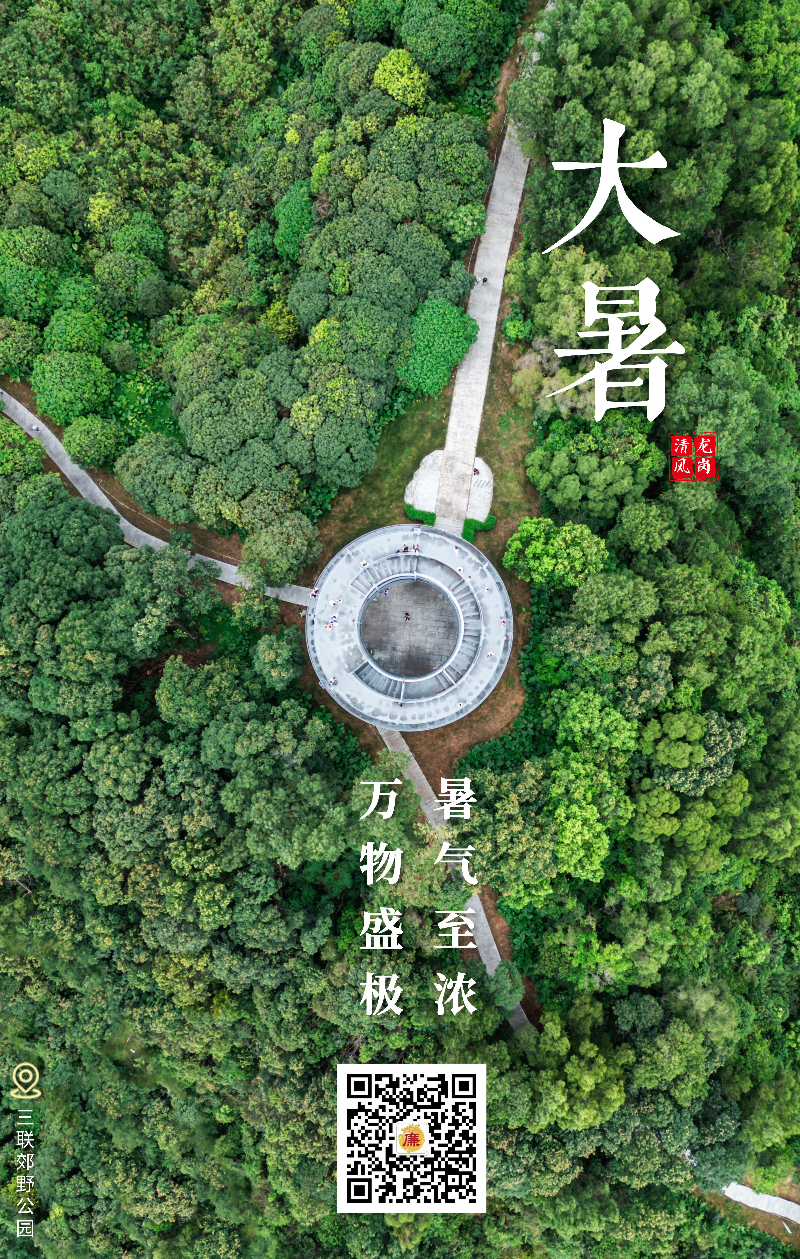大暑.jpg