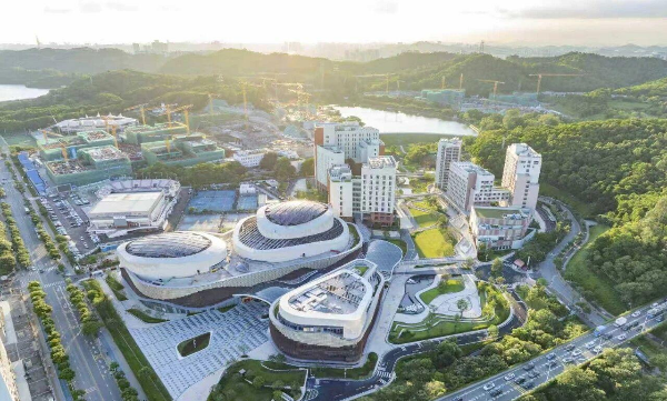 龙岗.jpg
