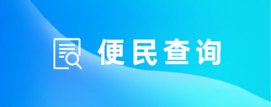 便民查询